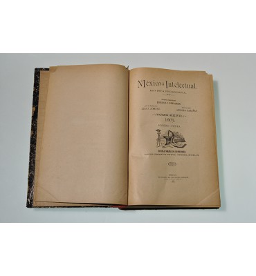 México Intelectual