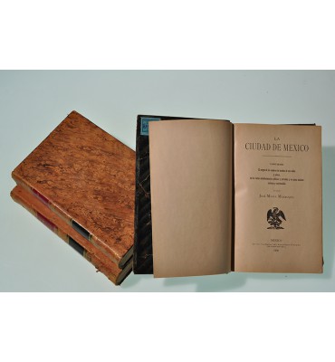 La Ciudad de México 