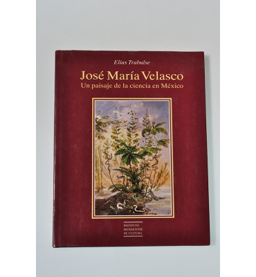 José María Velasco. Un paisaje de la ciencia en México*