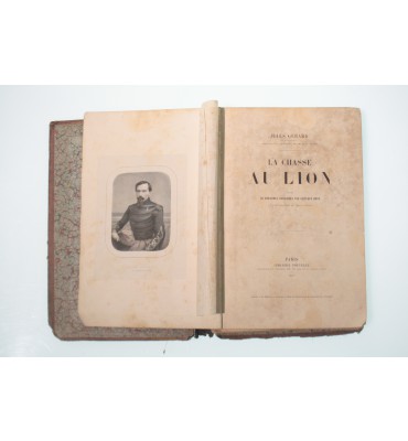 La Chasse Au Lion 