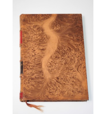 Repoblación de Tampico