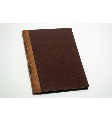 Rasgo breve de la grandeza Guanajuateña *