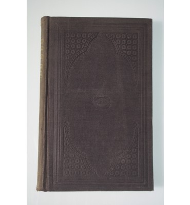 European Civilization Protestantism and Catholicity