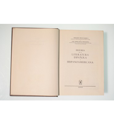 Historia de la literatura española e hispanoamericana