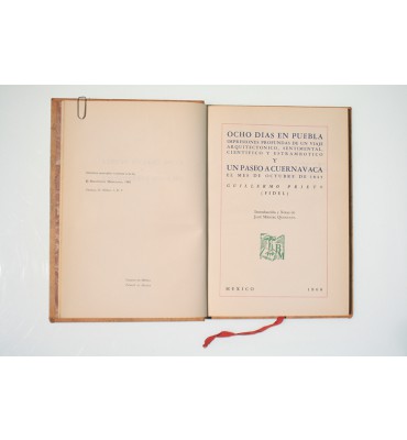 Ocho días en Puebla