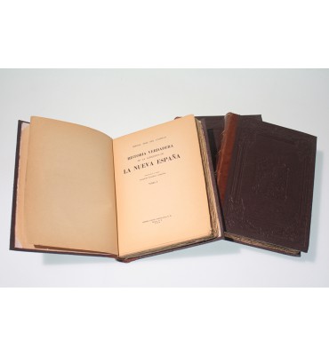 Historia verdadera de la conquista de la Nueva España