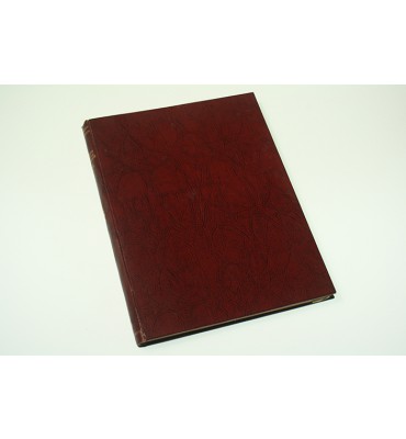 Monumentación de cincuenta y siete bancos antiguos del Río Bravo mencionados explícitamente en el tratado de 20 de marzo de 1905 ejecutada en los meses de enero a mayo de 1909*