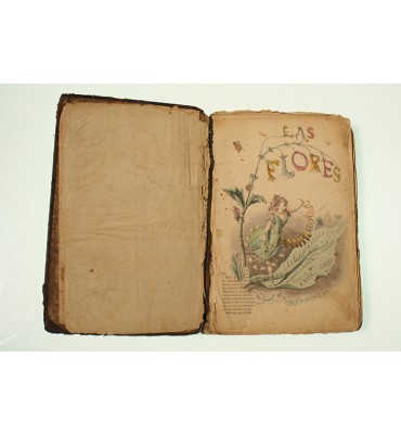 Las flores ilustradas