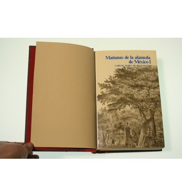 Mañanas de la Alameda de México