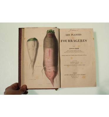 Cours d'agriculture pratique