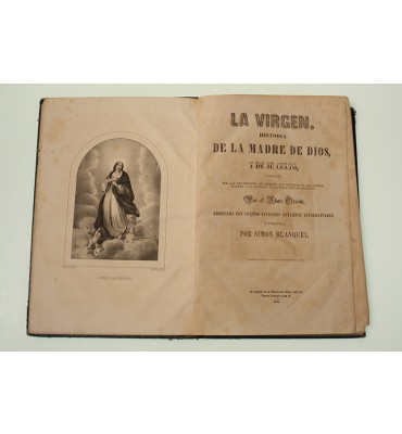 La virgen. Historia de la Madre de Dios y de su culto