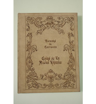 Sumaria relación de las cosas de la Nueva España *