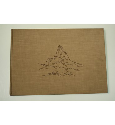 Un paisajista mexicano en la América Istmica