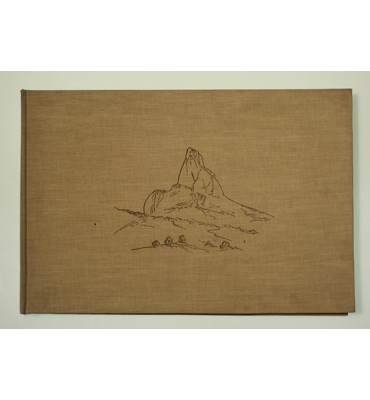 Un paisajista mexicano en la América Istmica