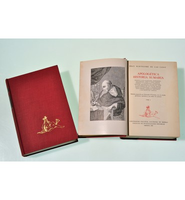 Apologética historia sumaria *