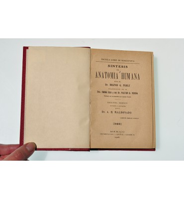 Síntesis de anatomía humana