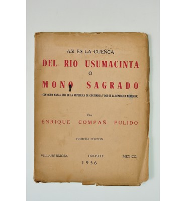 Así es la cuenca del Río Usumacinta o Mono Sagrado