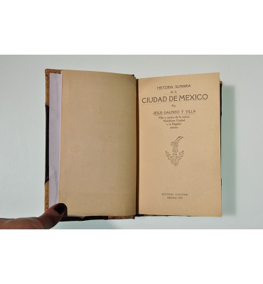 Historia sumaria de la Ciudad de México *