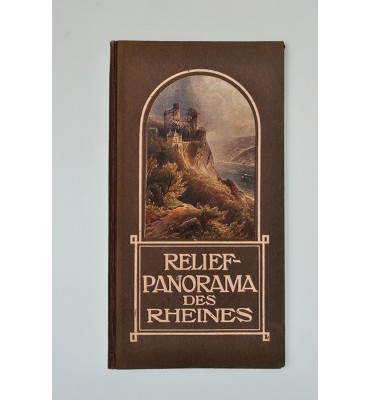 Relief-Panorama des Rheines