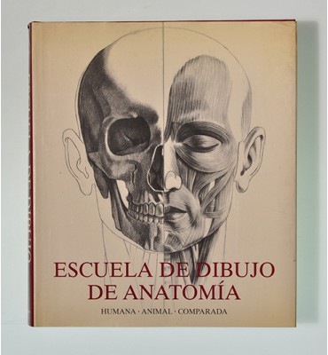 Escuela de dibujo de anatomía