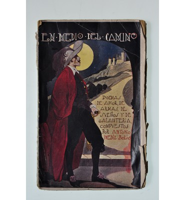 En medio del camino... 