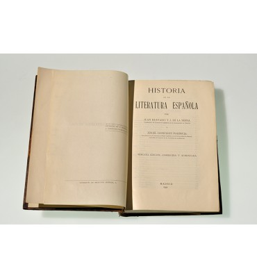 Historia de la literatura española