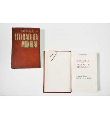 Historia de la literatura mundial 