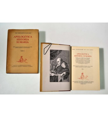 Apologética historia sumaria *