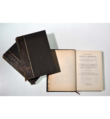 Mexico pintoresco artístico y monumental.