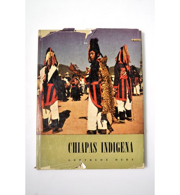 Chiapas indígena