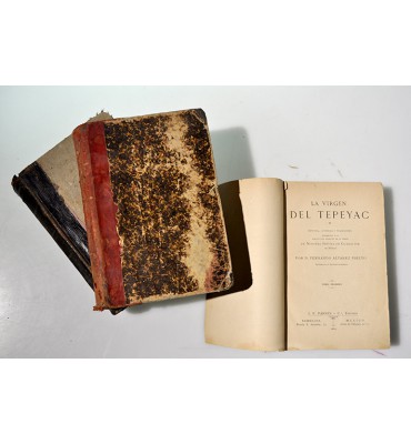 La Virgen del Tepeyac