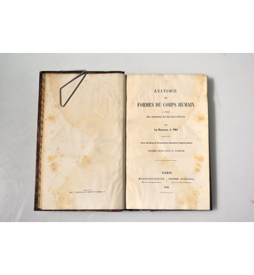 Anatomie des formes du corps humain