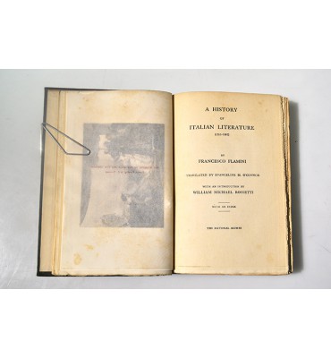 A history of italian literature 