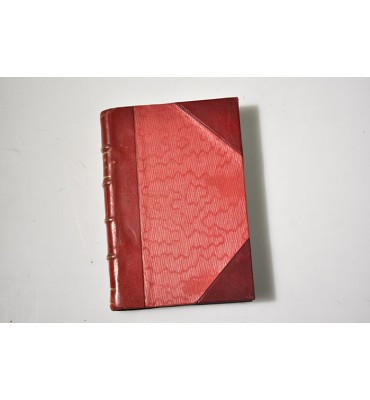 Curiosidades del mundo de los insectos 