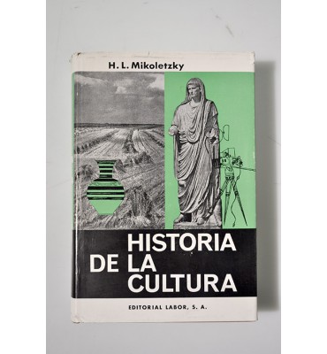 Historia de la cultura 