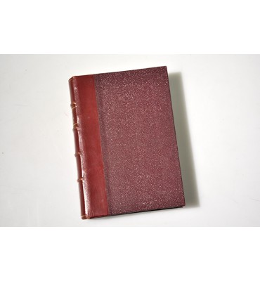 Compendio de historia natural. Mineralogía y geología.