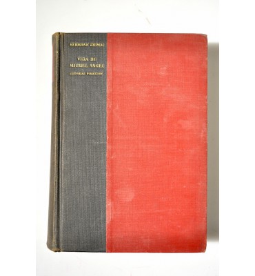 Vida de Miguel Angel 