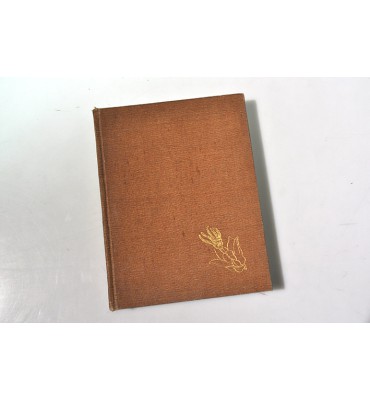 Mexican flowering trees and plants *