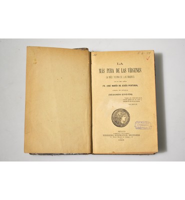 La más pura de las vírgenes la más tierna de las madres