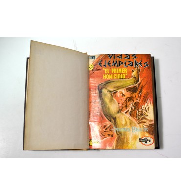 Vidas ejemplares