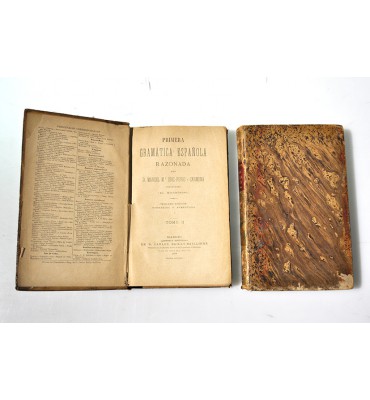 Primera gramática española razonada 