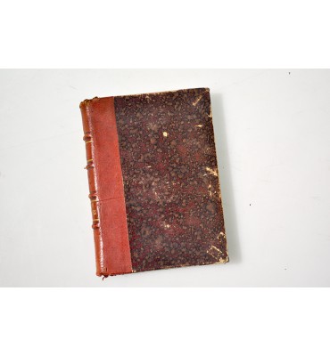 Tartarin en los Alpes. Hazañas del heroe Tarascones