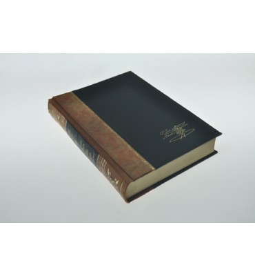 Don Jose Maria Morelos y Pavon, La abispa de Chilpancingo