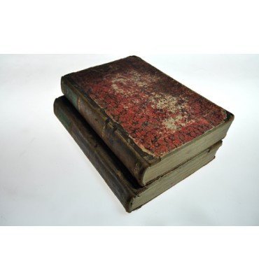 Pio IX, historia documentada de su vida  y de los veinte y cinco primeros años de su glorioso pontificado. 2 Tomos.