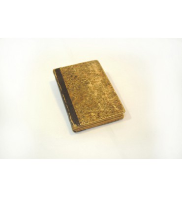 Un viajero de diez años