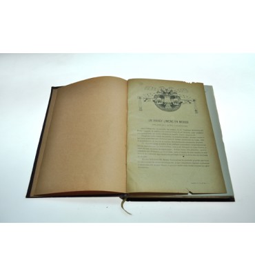 Un virrey limeño en México