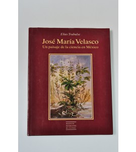 José María Velasco. Un paisaje de la ciencia en México*