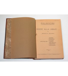 Palavicini desde alla abajo