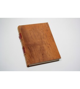 Crónica de la orden de N.P.S. Augustin en las provincias de la Nueva España en quatro edades desde el año de 1533 hasta el de 1592