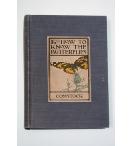 How to know the butterflies
